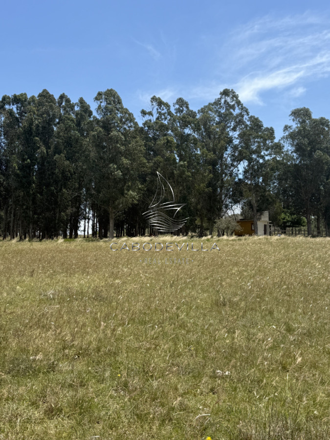 Campo Ref.992 - En venta campo o fracciones en José Ignacio 