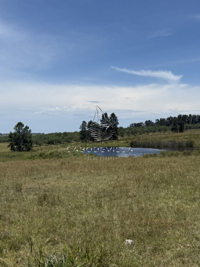 Campo Ref.992 - En venta campo o fracciones en José Ignacio 