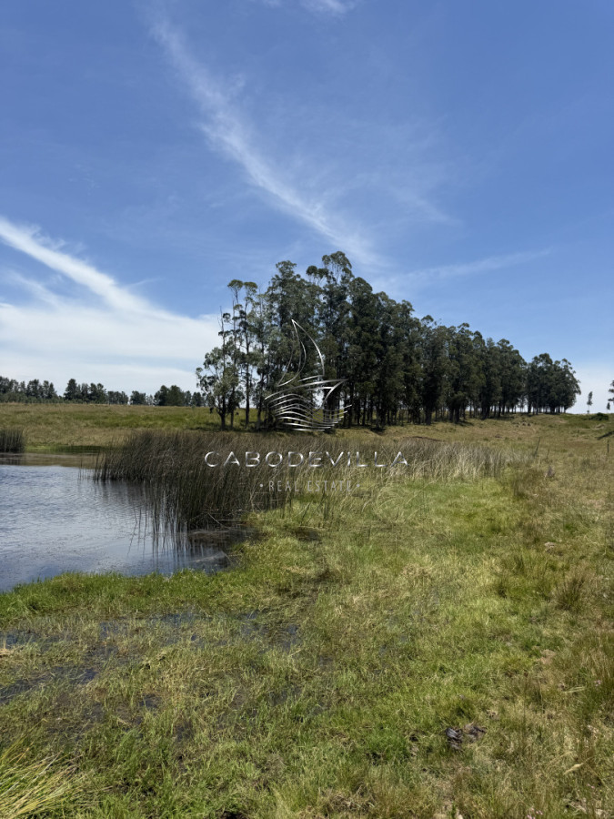 Campo Ref.992 - En venta campo o fracciones en José Ignacio 