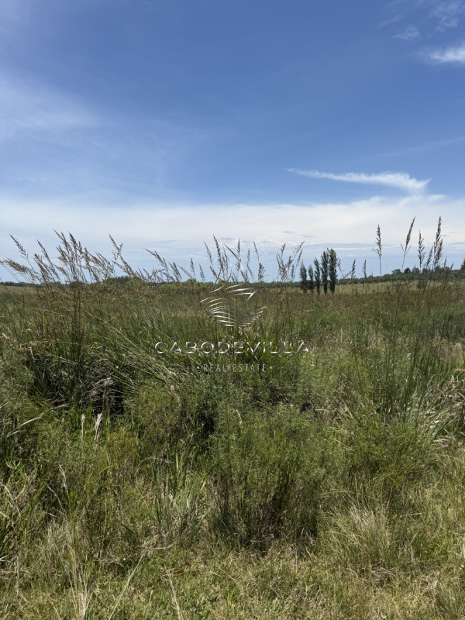 Campo Ref.992 - En venta campo o fracciones en José Ignacio 