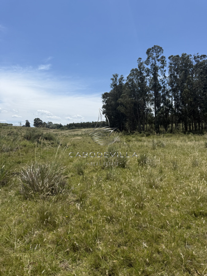 Campo Ref.992 - En venta campo o fracciones en José Ignacio 