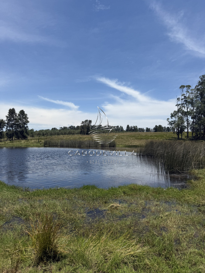 Campo Ref.992 - En venta campo o fracciones en José Ignacio 