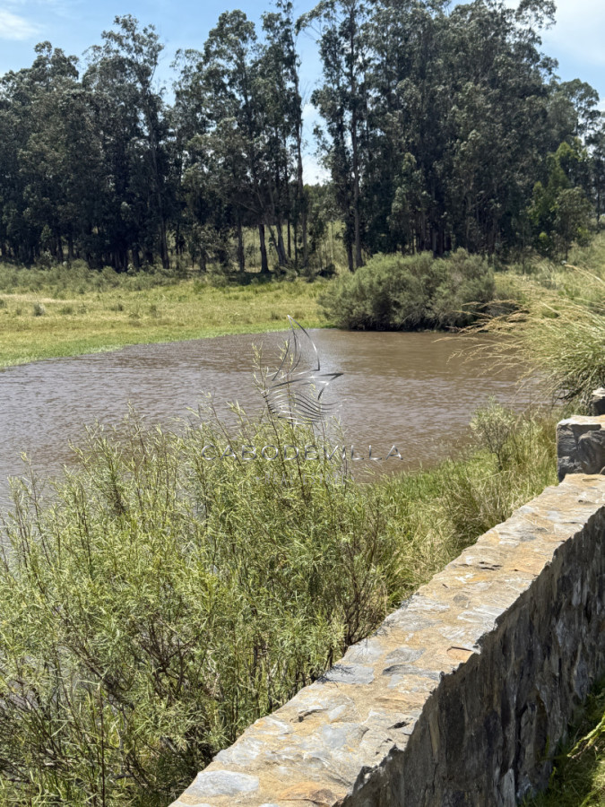 Campo Ref.992 - En venta campo o fracciones en José Ignacio 