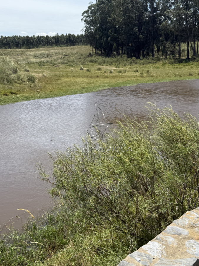 Campo Ref.992 - En venta campo o fracciones en José Ignacio 