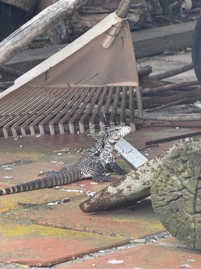 Campo Ref.992 - En venta campo o fracciones en José Ignacio 