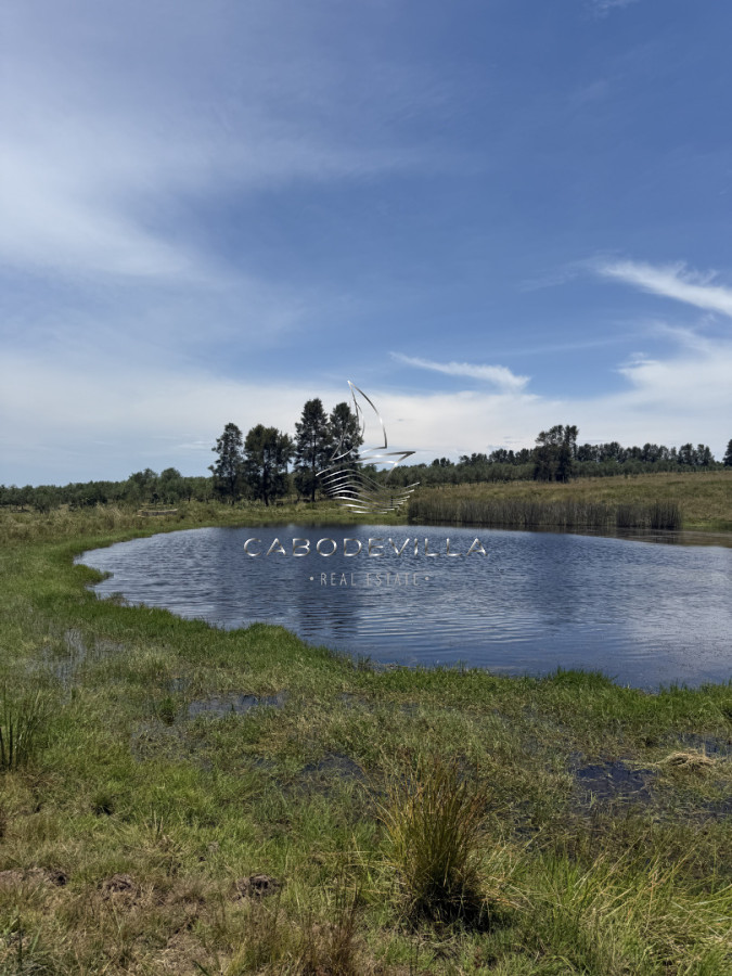 Campo Ref.992 - En venta campo o fracciones en José Ignacio 