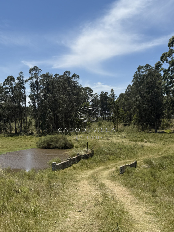 Campo Ref.992 - En venta campo o fracciones en José Ignacio 