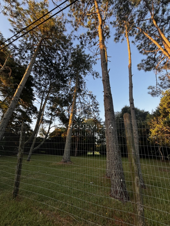 Terreno ID.479 - En venta lote Golf Punta del Este 