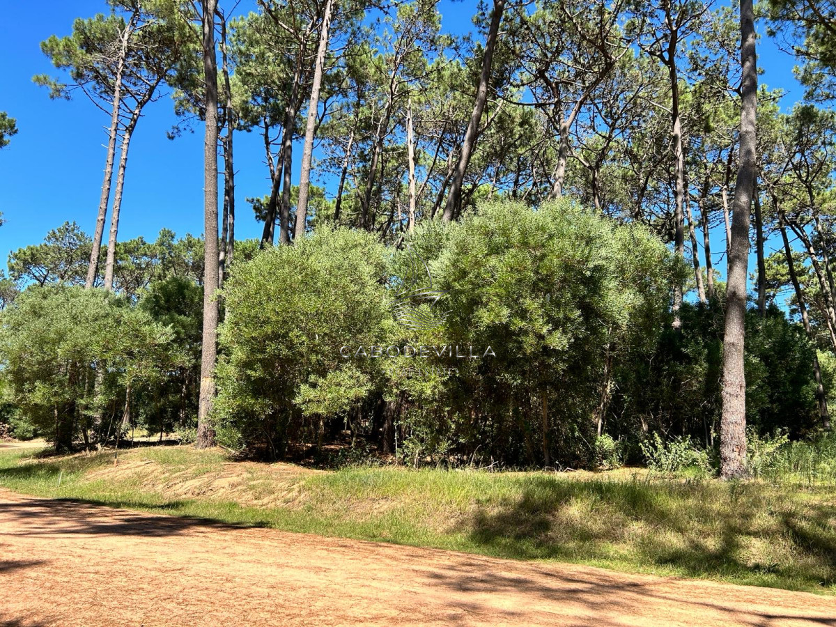 Terreno ID.683 - Venta en oportunidad terreno de 1000 m2 Montoya