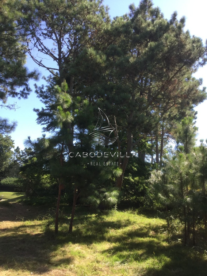Terreno ID.479 - En venta lote Golf Punta del Este 