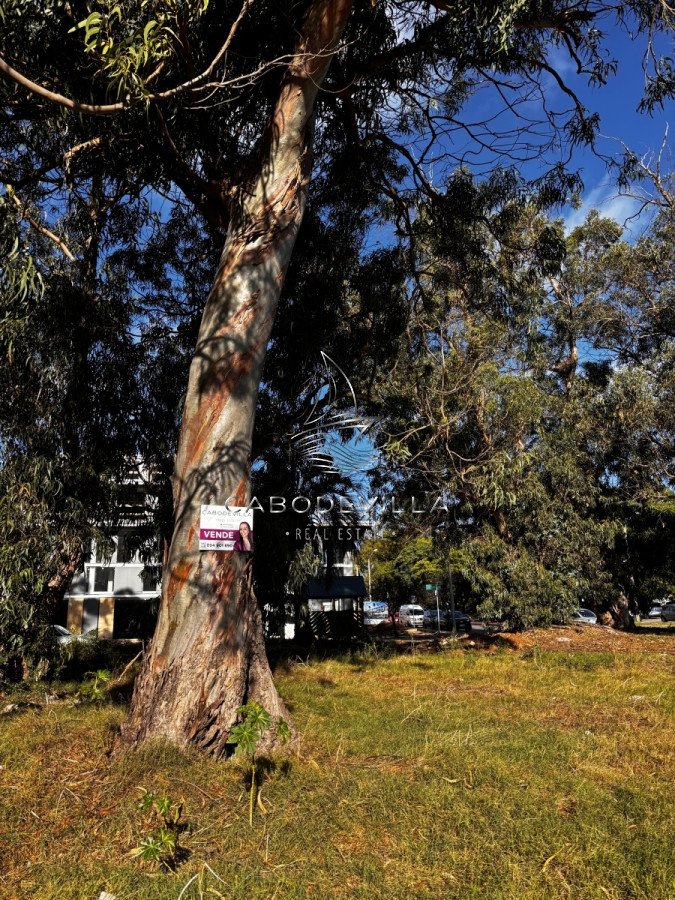 Terreno ID.460 - En venta lote apto altura Roosevelt 
