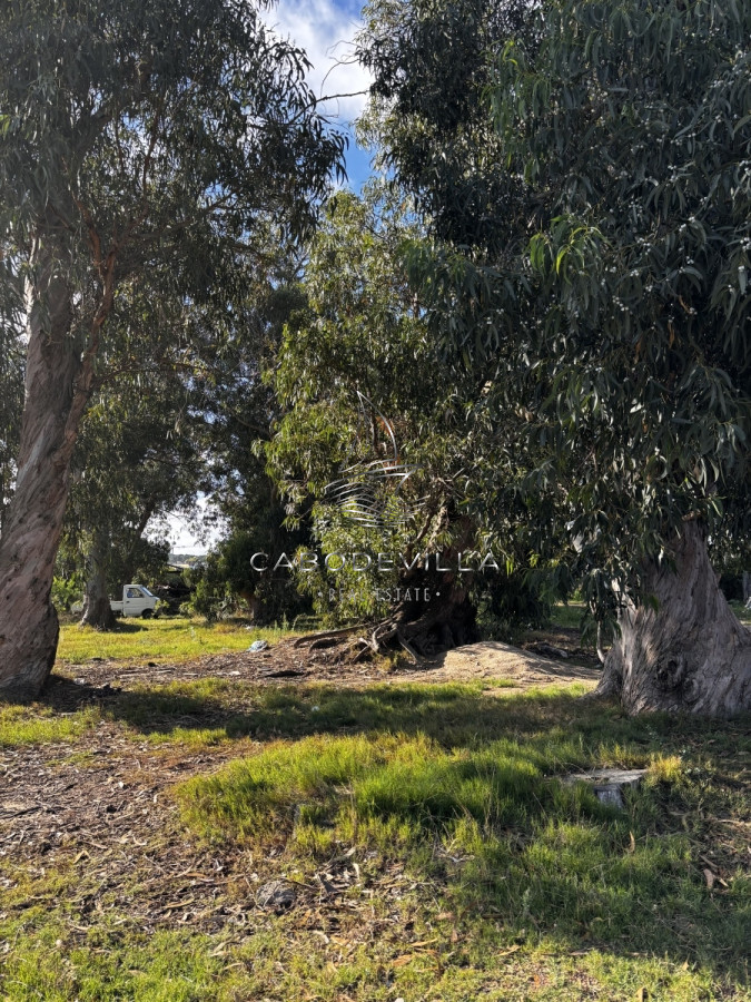 Terreno ID.460 - En venta lote apto altura Roosevelt 