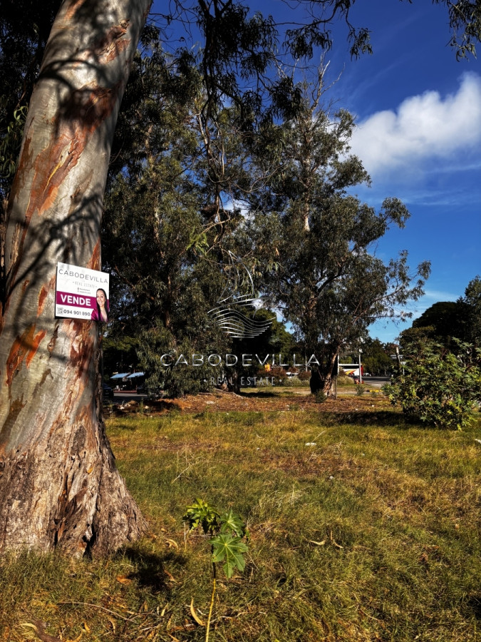Terreno ID.460 - En venta lote apto altura Roosevelt 