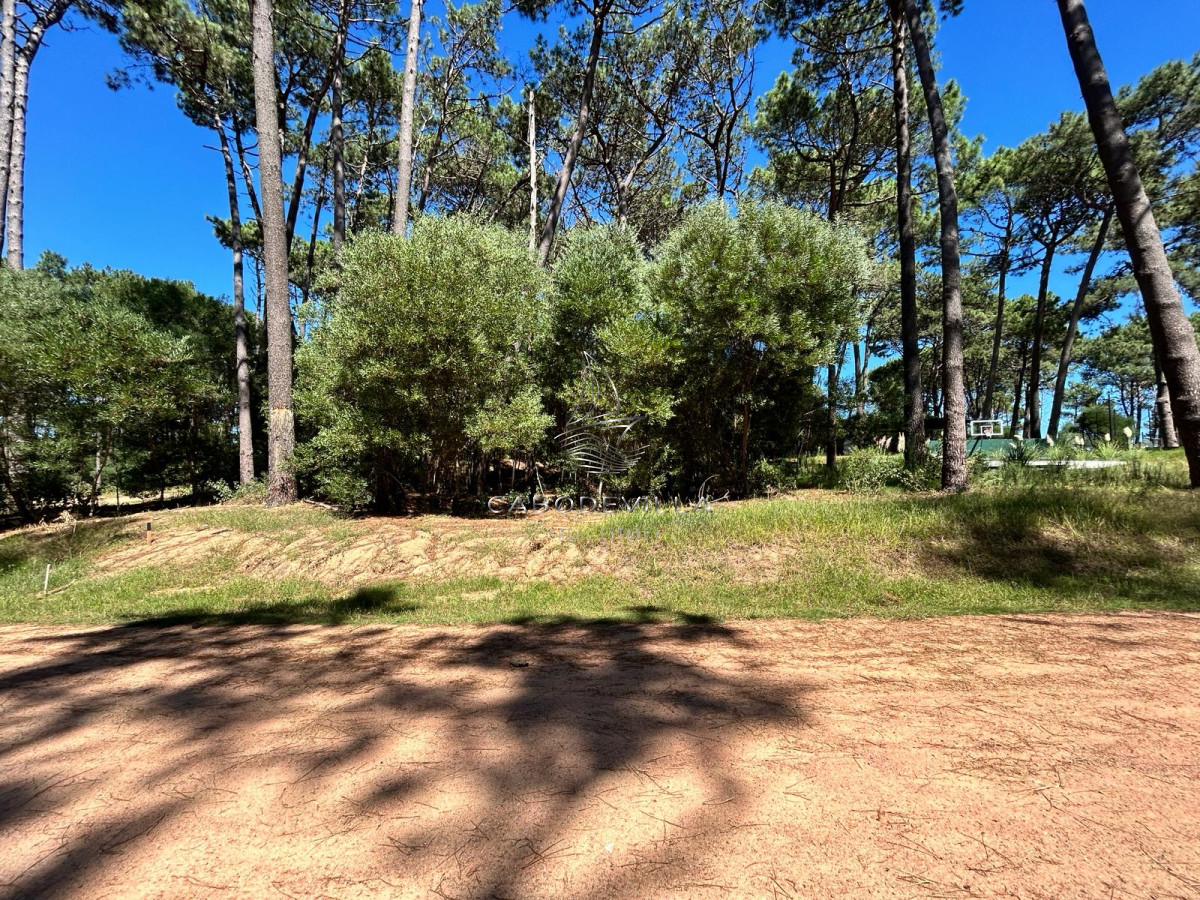 Terreno ID.683 - Venta en oportunidad terreno de 1000 m2 Montoya