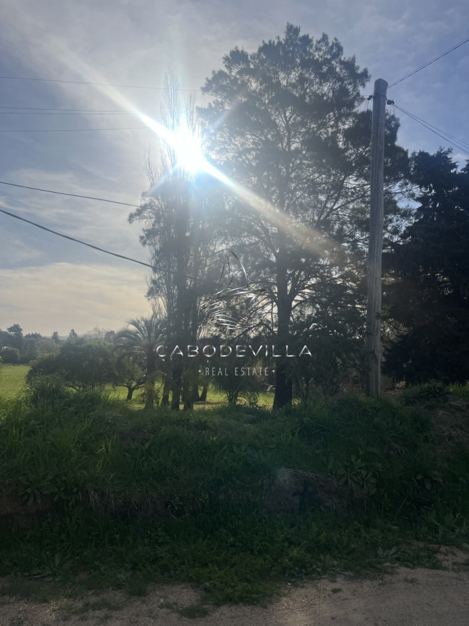 Terreno ID.369 - En venta lote de 5924 m2 en el Tesoro 