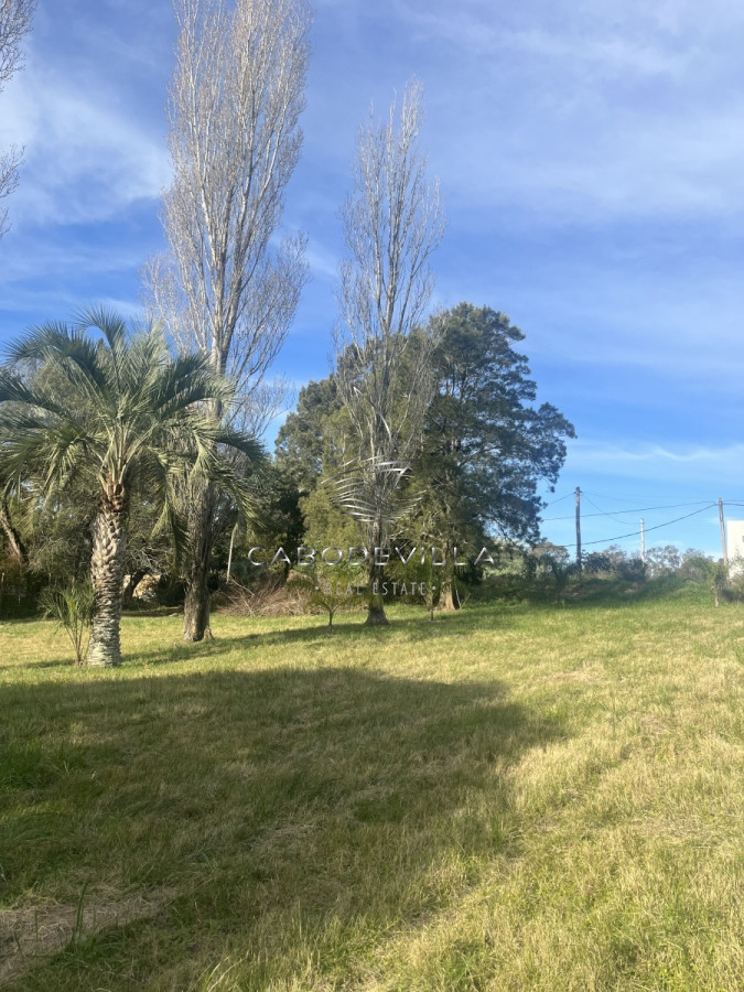 Terreno ID.369 - En venta lote de 5924 m2 en el Tesoro 