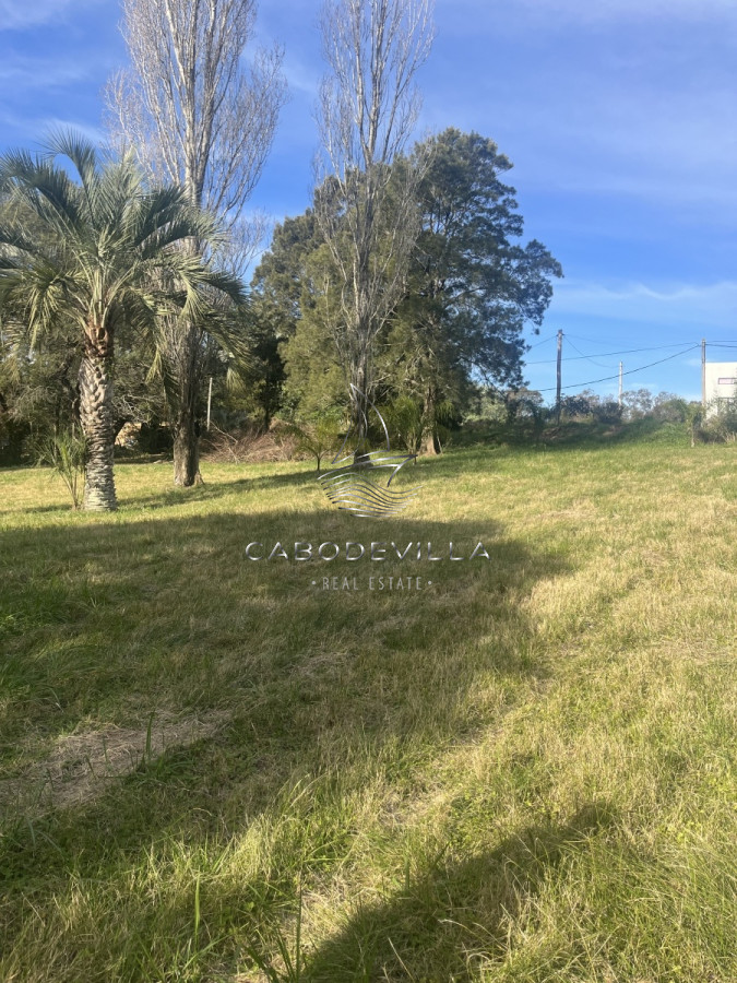 Terreno ID.369 - En venta lote de 5924 m2 en el Tesoro 