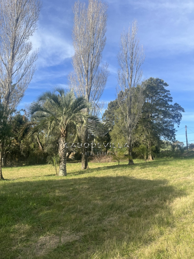 Terreno ID.369 - En venta lote de 5924 m2 en el Tesoro 