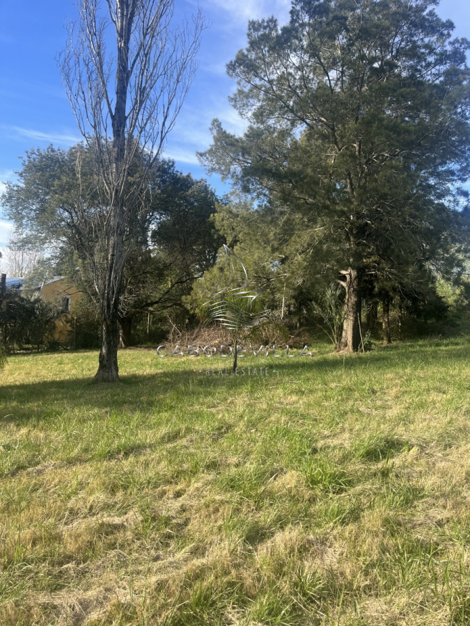 Terreno ID.369 - En venta lote de 5924 m2 en el Tesoro 