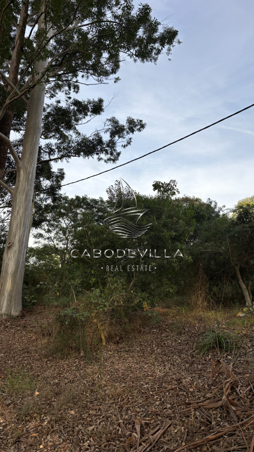 Terreno ID.769 - En venta terreno Salto 