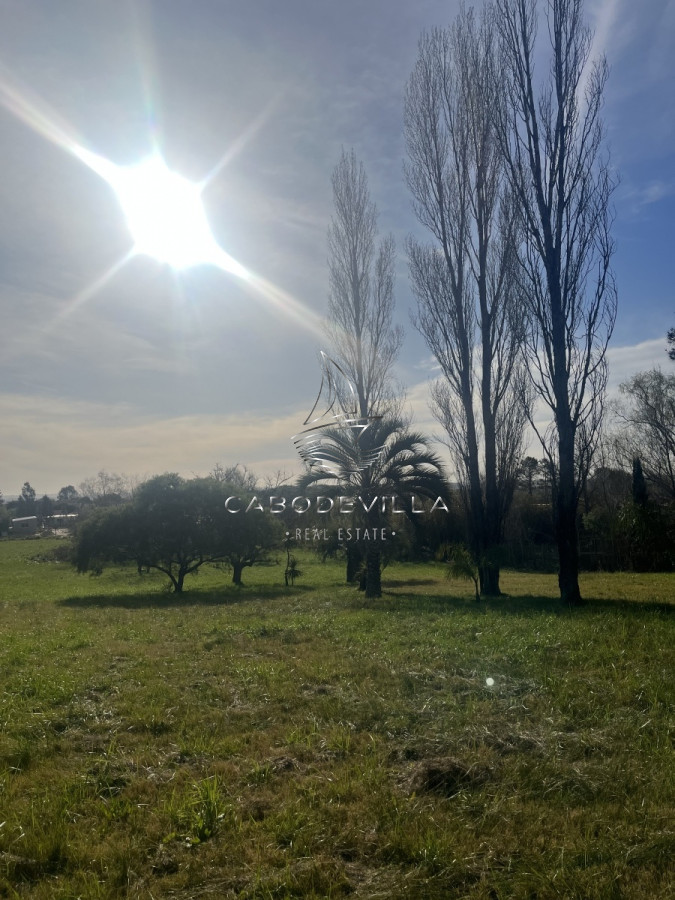Terreno ID.369 - En venta lote de 5924 m2 en el Tesoro 