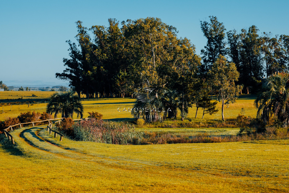Terreno ID.821 - Terrenos en venta José Ignacio 