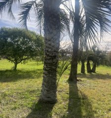 En venta lote de 5924 m2 en el Tesoro