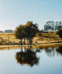 En venta terrenos en José Ignacio barrio privado
