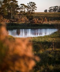 En venta terrenos en José Ignacio