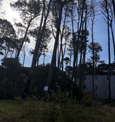 En venta lote en La Juanita