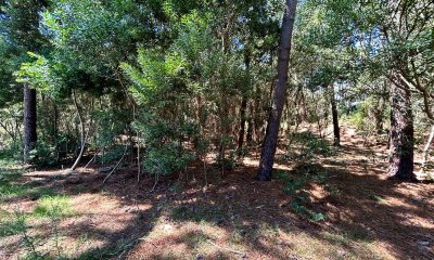 Venta en oportunidad terreno de 1000 m2 Montoya