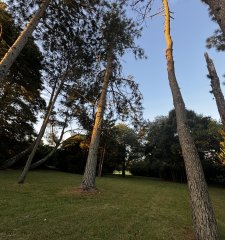 En venta lote Golf Punta del Este