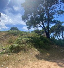 Terreno en Rincón del Indio - Punta del Este