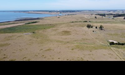 CHACRA EN JOSE IGNACIO, 10 Hectáreas!!