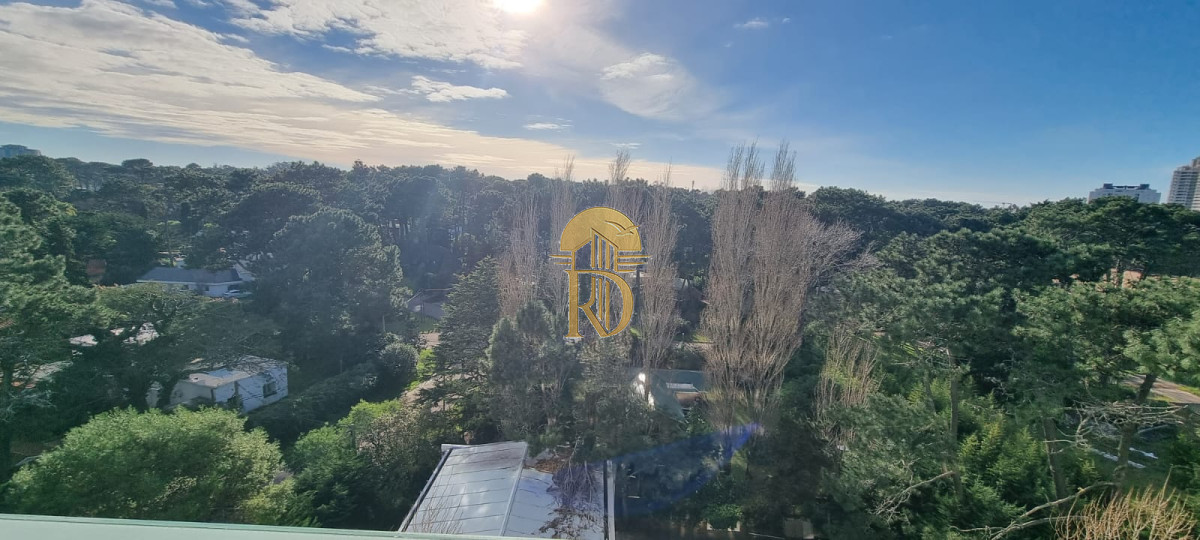 HOLA PUNTA -id-61-12