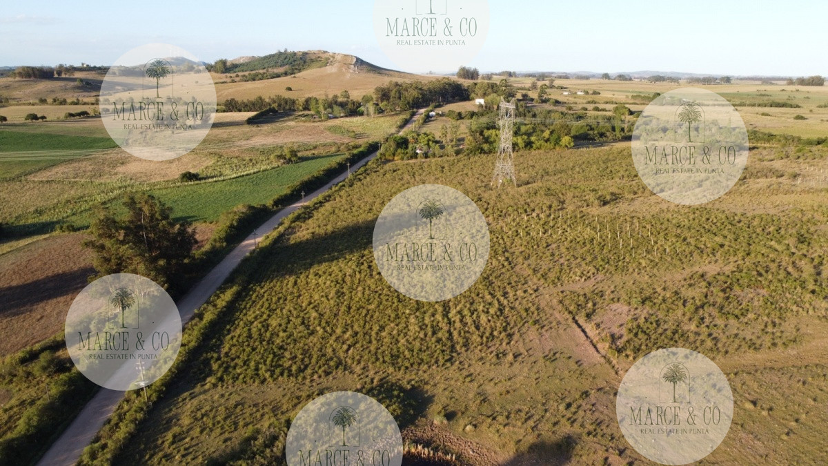 Chacra ID.1179 - CHACRA de 10 hectáreas  EX VIÑEDO !!! OPORTUNIDAD!!!