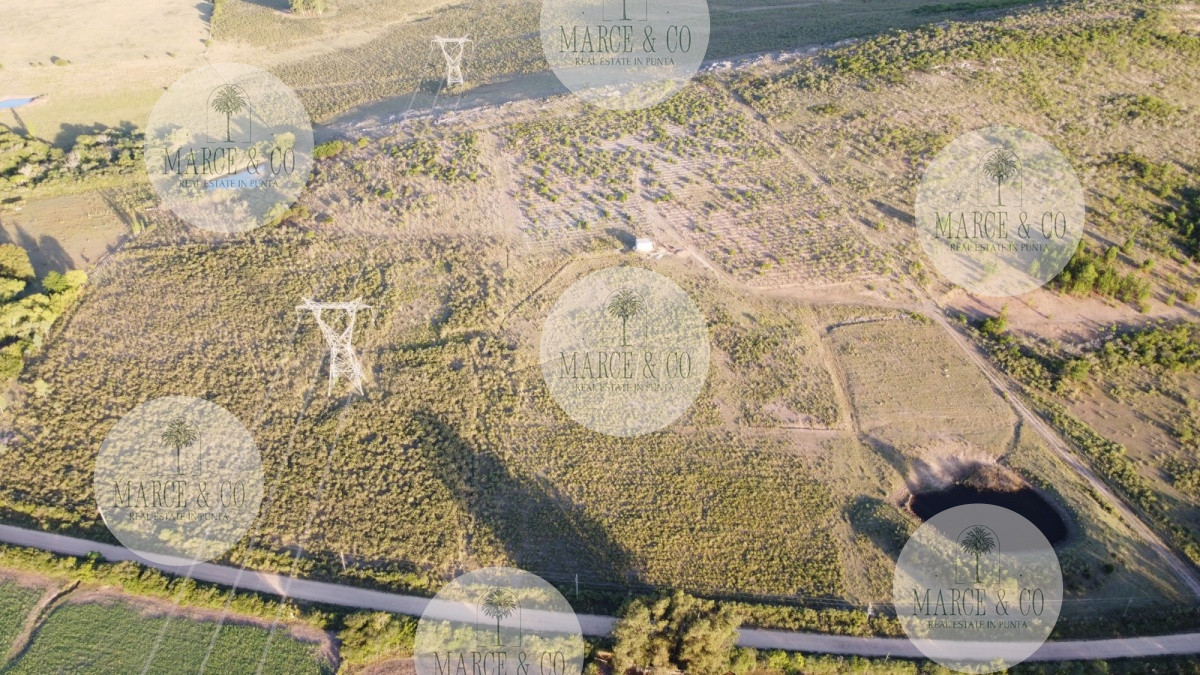 Chacra ID.1179 - CHACRA de 10 hectáreas  EX VIÑEDO !!! OPORTUNIDAD!!!