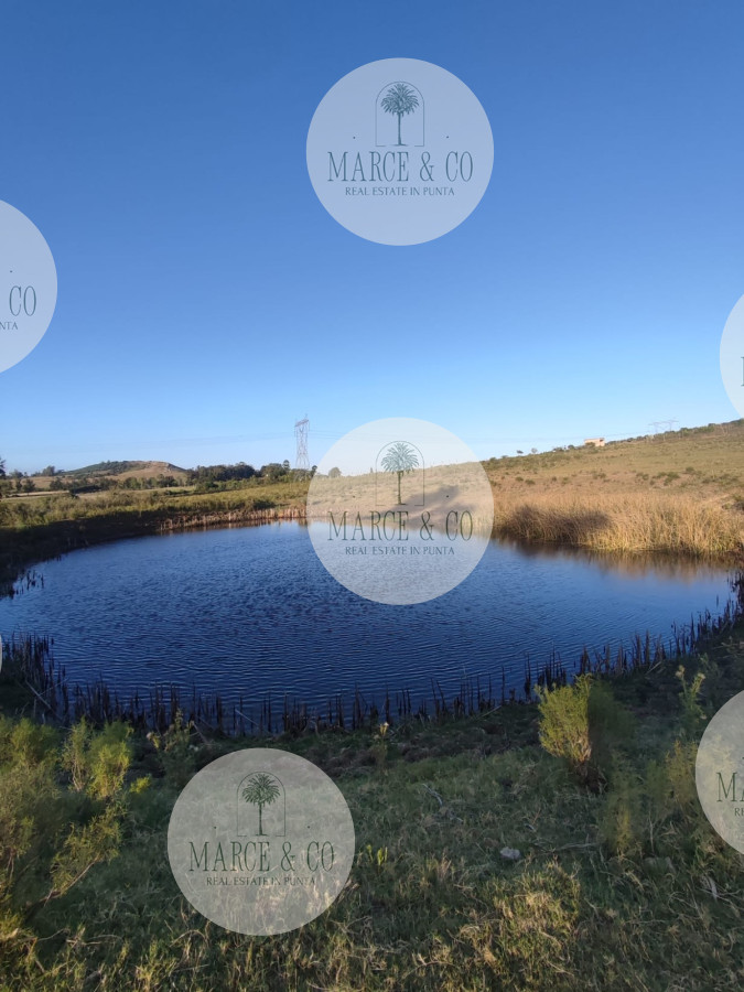 Chacra ID.1179 - CHACRA de 10 hectáreas  EX VIÑEDO !!! OPORTUNIDAD!!!