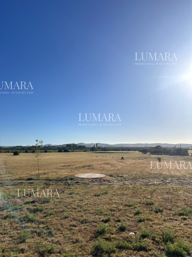 Chacra ID.3371 - Chacra de 12has en Ruta 12 Cerca de Pueblo Eden