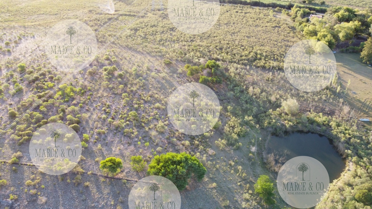 Chacra ID.1179 - CHACRA de 10 hectáreas  EX VIÑEDO !!! OPORTUNIDAD!!!