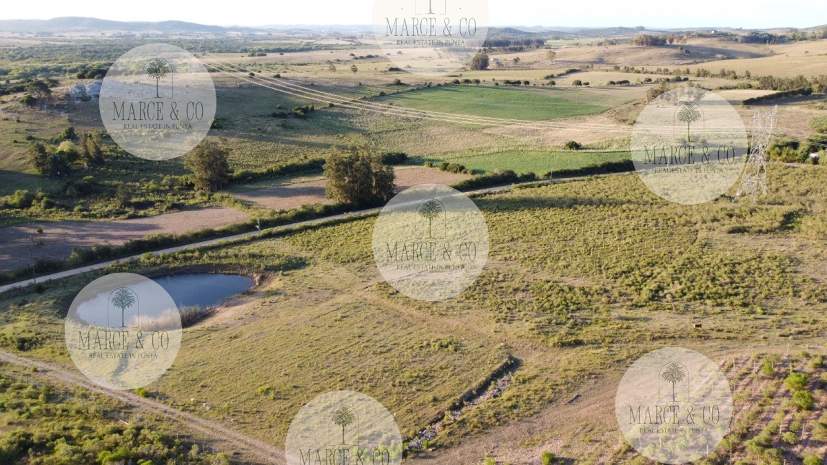 Chacra ID.1179 - CHACRA de 10 hectáreas  EX VIÑEDO !!! OPORTUNIDAD!!!