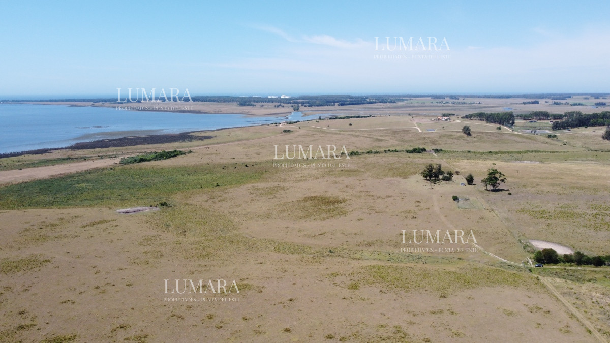 Chacra ID.3370 - Chacras en venta en Jose Ignacio - 30 hectáreas - laguna