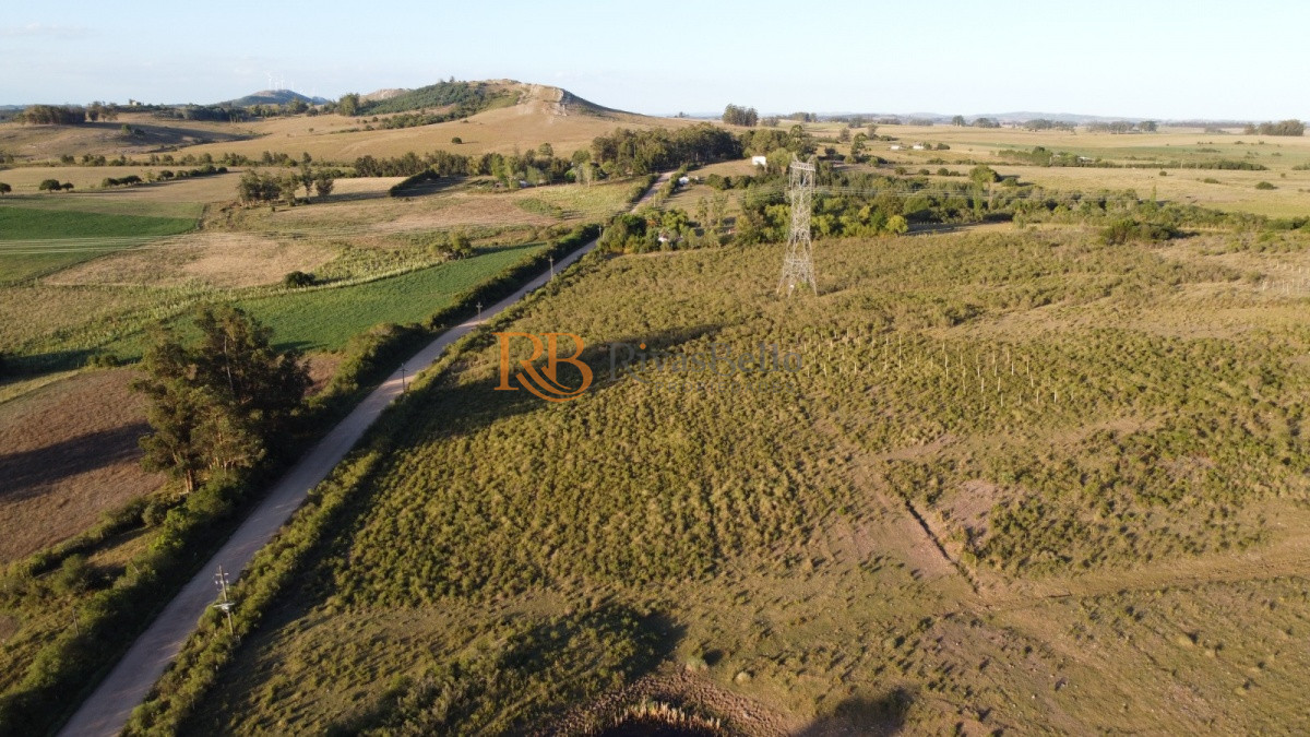 Chacra ID.96 - CHACRA de 10 hectáreas  EX VIÑEDO !!! OPORTUNIDAD!!!