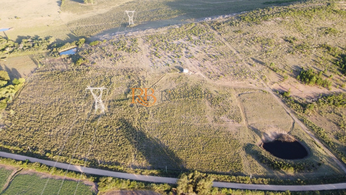 Chacra ID.96 - CHACRA de 10 hectáreas  EX VIÑEDO !!! OPORTUNIDAD!!!