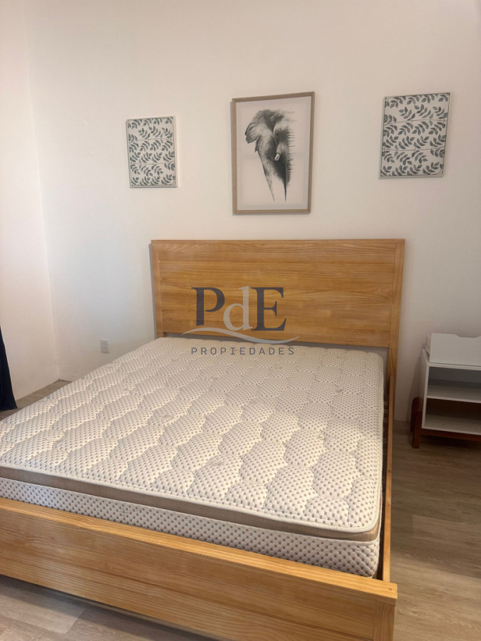 Chacra en venta 12 hectáreas | Ruta 12, próxima a Pueblo Edén - Imagen 14