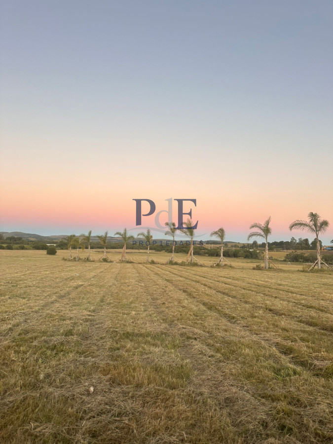 Chacra en venta 12 hectáreas | Ruta 12, próxima a Pueblo Edén - Imagen 3