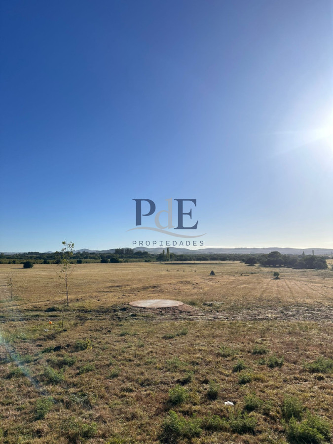 Chacra en venta 12 hectáreas | Ruta 12, próxima a Pueblo Edén - Imagen 6