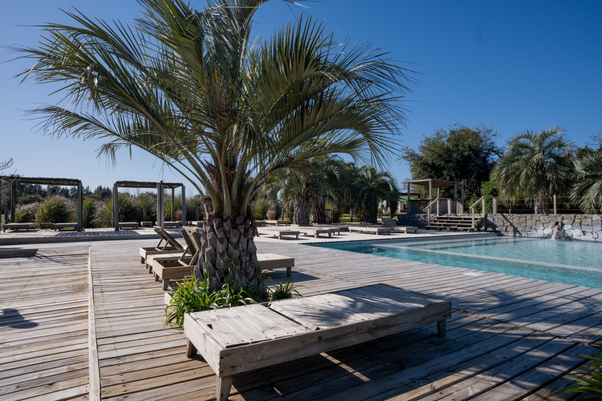 Casa ID.30 - Hermosa casa en el Quijote- 3 dormitorios + dependencia de servicio con baño. DISPONIBLE EN ALQUILER ANUAL A PARTIR DE MARZO 2025