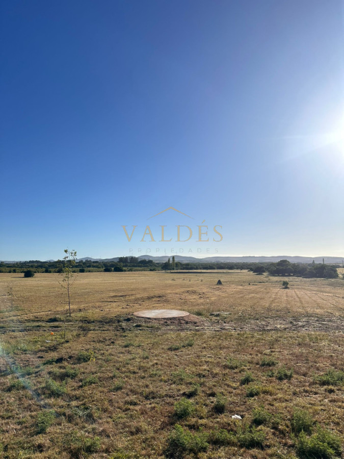 Chacra ID.5352 - Chacra de 12has en Ruta 12 Cerca de Pueblo Eden