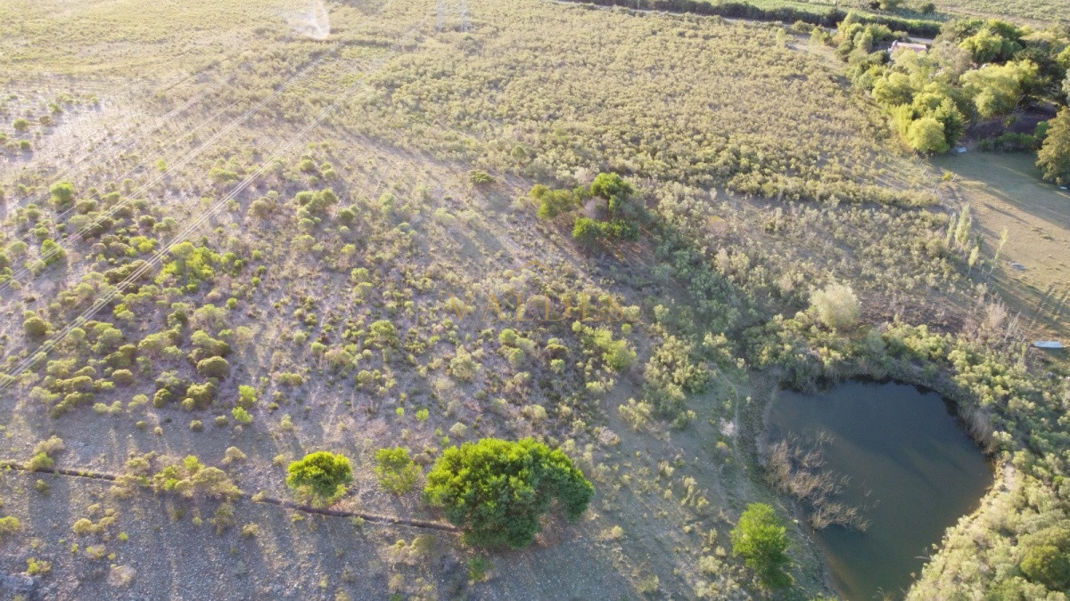 Chacra ID.5052 - CHACRA de 10 hectáreas  EX VIÑEDO !!! OPORTUNIDAD!!!